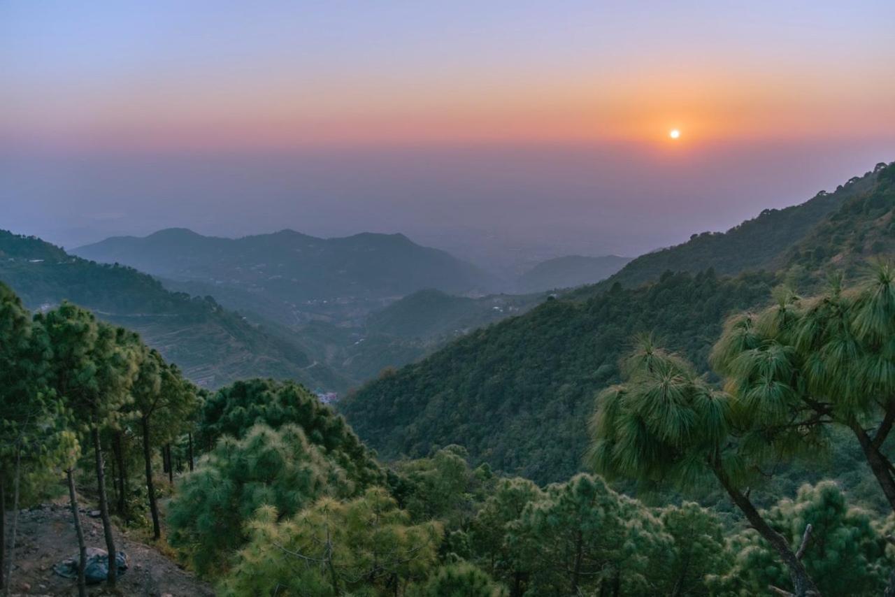 Panormic View By The North Edge Apartment Kasauli Exterior photo
